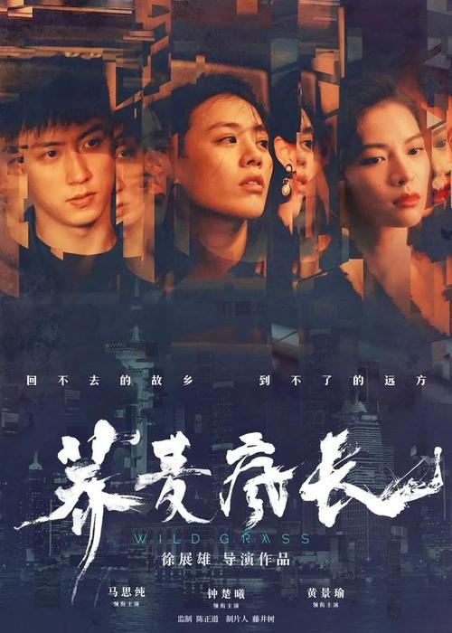 蒙大拿技术学院学位证电子图